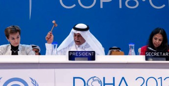 The Tragic Paradox of the Doha Conference