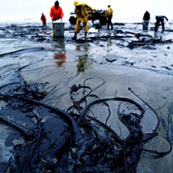 Remote-sensing could Do Away with Oil Spills
