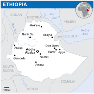 Food Shortages Mount in Ethiopia’s Upbeat Economy