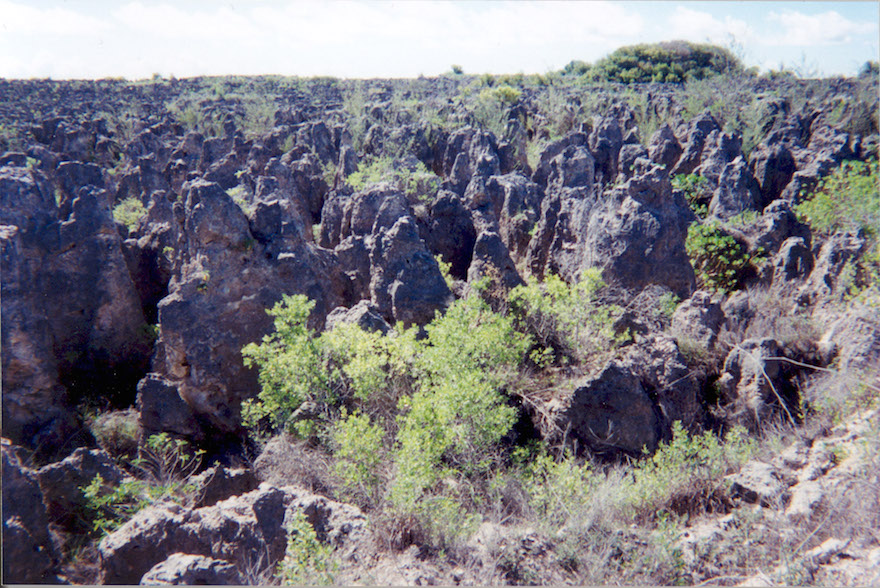 Serious land degradation in Nauru after the depletion of the phosphate cover through mining. Credit: Wikimedia Commons