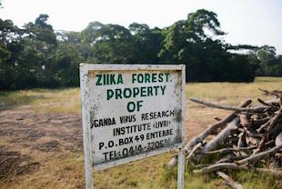 Zika Sighting – Uganda’s New Tourist Industry