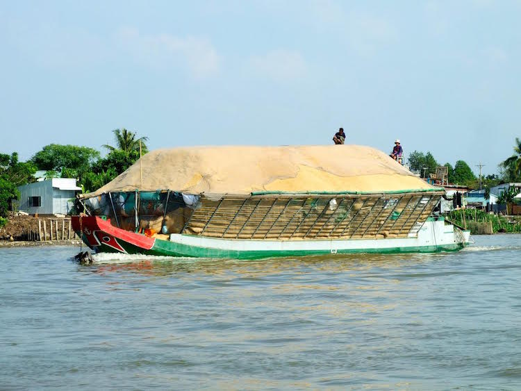 Photo: A rice barge transporting rice on the Mekong River in  Vietnam | Credit: Kalinga Seneviratne