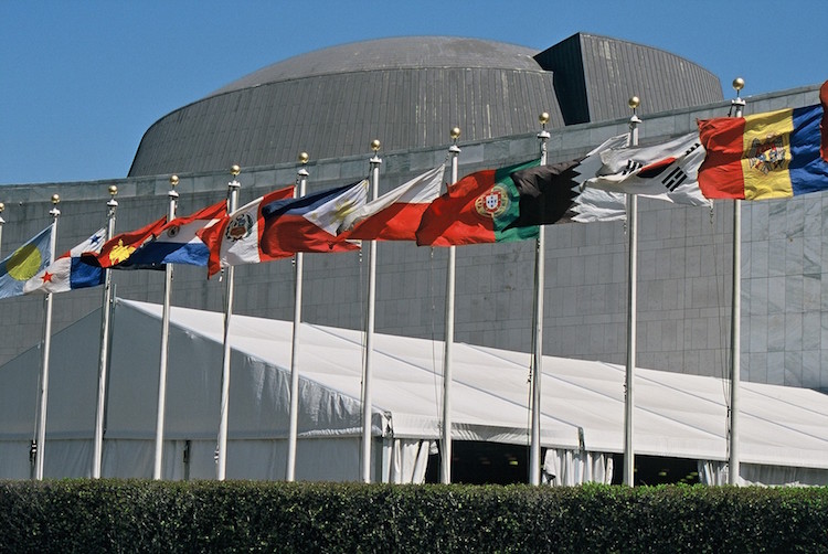 Flags of the member states, arranged in alphabetical order in front of the UN building in New York. | Credit: Wikimedia Commons