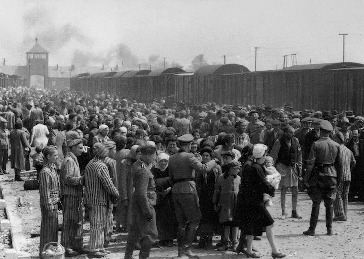 Photo: The photograph is part of the collection known as the Auschwitz Album. Credit: Wikimedia Commons