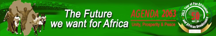 NEWSBRIEF: African Union Unveils New Pan-African Passport