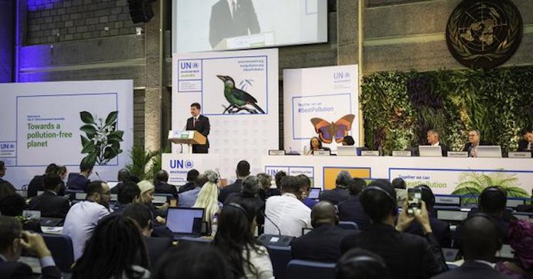 UN Environment Assembly Galvanises Nations to Act on Taming Pollution