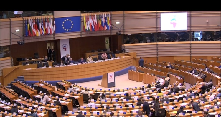 Parliamentarians Agree on Concrete Goals of Future ACP-EU Partnership