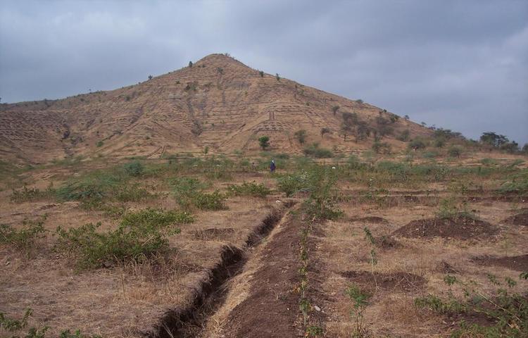 India To Host UN Conference On Land Degradation