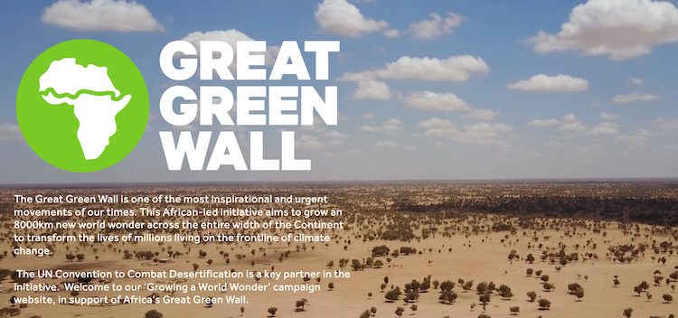 Global Leaders Urged to Make Africa’s Great Green Wall a Reality by 2030