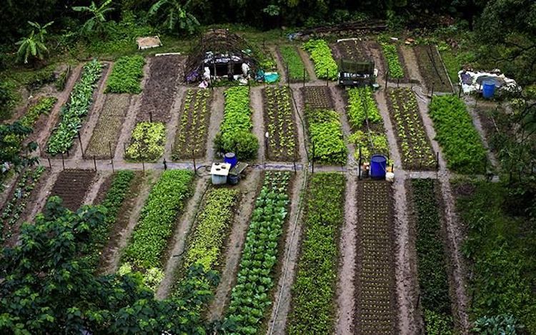 Agroecology, The Antidote for Climate Change?