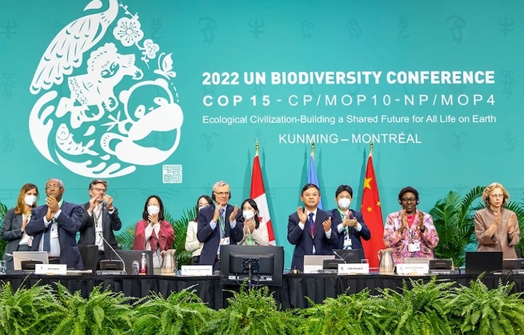 A Landmark UN Biodiversity Agreement Achieved
