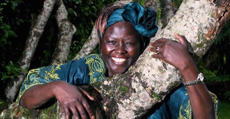 Kenyan Tree Planting Activist Remembered with Call to Invest