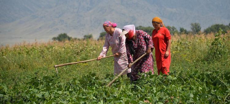 Gender Inequalities in Agriculture Cost the World $1 Trillion