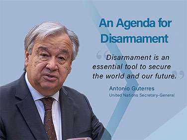 An Agenda for Disarmament