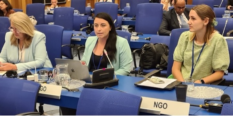 Vanessa Lanteigne, Program Officer at Parliamentarians for Nuclear Non-Proliferation and Disarmament (PNND), presenting proposals on Gender Inclusivity at the NPT Working Group at the UN 23 July.