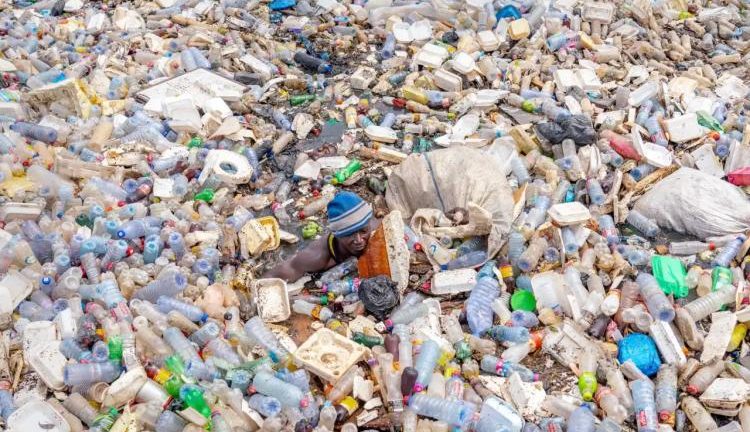 Plastics Threatening Ghana’s Wild Fish Industry