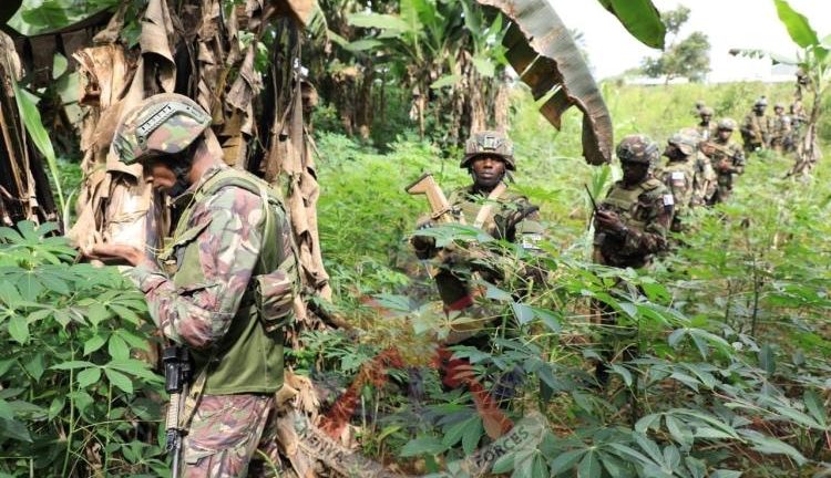 US-Funded Mission of Kenyan Forces Prepares For Battle With Gun-Toting Haitian Gangs