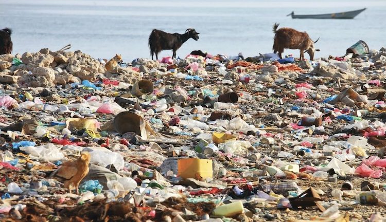 An International Treaty to Fight Plastic Pollution is Heading Towards its Final Run