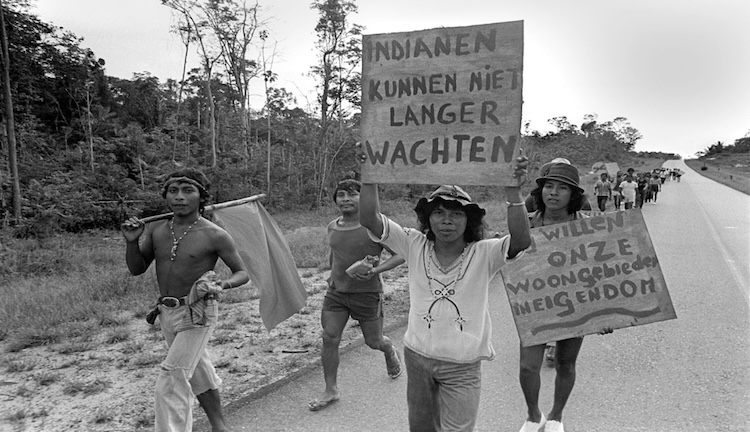 Fifty Years On, A Fight for Land Rights in Suriname Continues