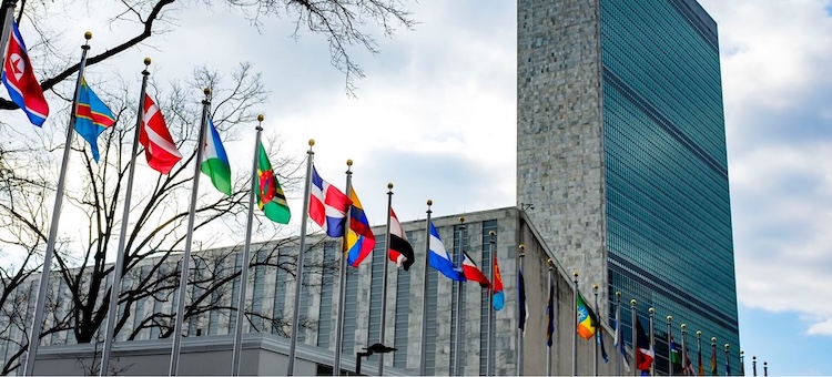 IN LIGHTER VEIN — At the UN: from the Sublime to the Hilarious