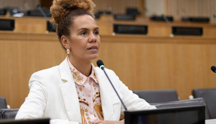 Geledés’ UN Advocacy Creates People of African Descent Stakeholder Group