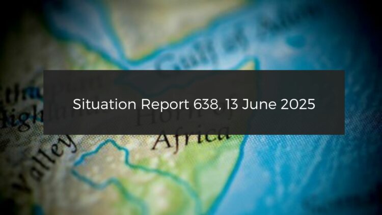 Situation Report Horn of Africa: RSF takes control over strategic border area