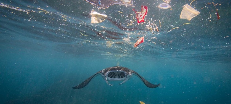 A Law of the Sea?