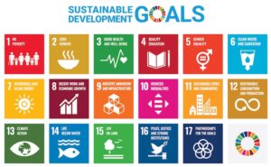 UN Sustainable Development Goals Poster