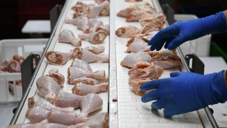 Russia Strengthening Africa’s Food Import Dependency