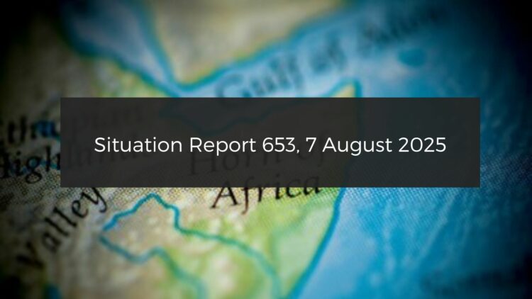 Situation Report Horn of Africa: SAF states it destroyed UAE airplane carrying mercenaries