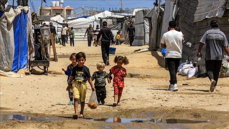 Madness on Steroids in Gaza