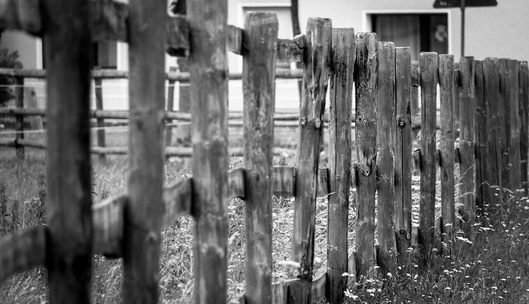 Walls And Fences Should Come Down