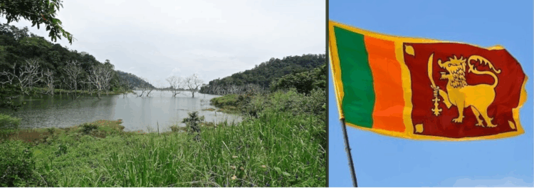 As Rich Countries Poach Their Medical Professionals, Sri Lanka’s Health System Struggles To Help Flood Victims