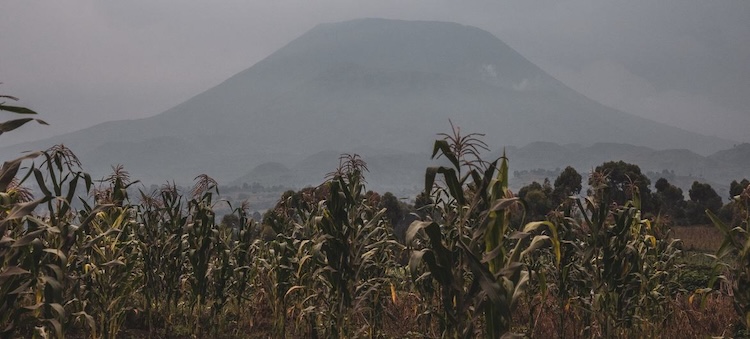 Should the UN go into Battle in Congo?