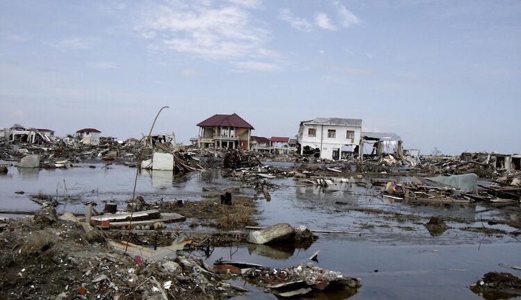 Diving Deep into Natural Disasters: Real or Fake?
