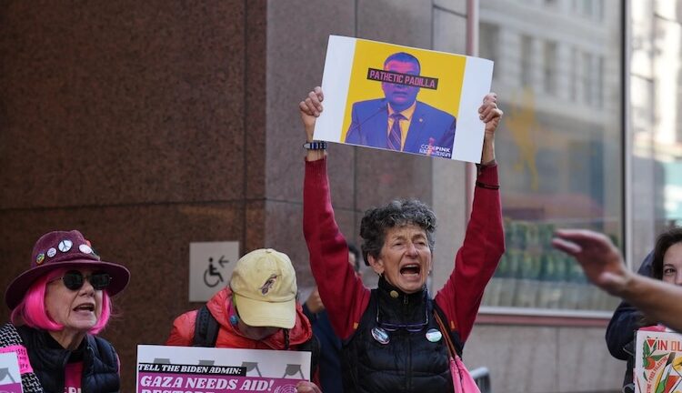 Democrats in Congress Are Out of Touch with Constituents on Israeli Genocide