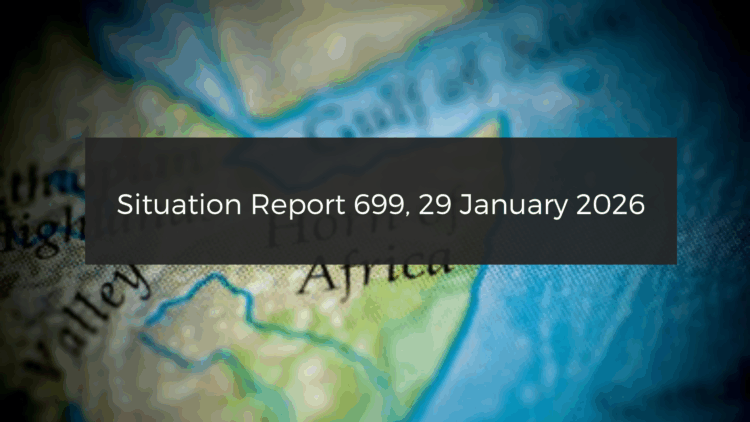 Situation Report Horn of Africa: Fears of escalation as ENDF and TDF clash in Tigray