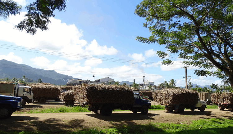 FIJI: As Sugar Industry Declines, Vanua Levu Is  poised for Ecotourism-led Transformation