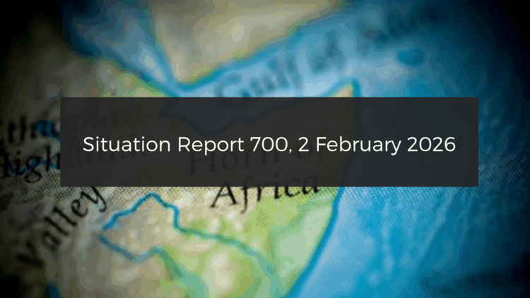 Situation Report Horn of Africa: Details emerging of fighting in Tigray as situation calms