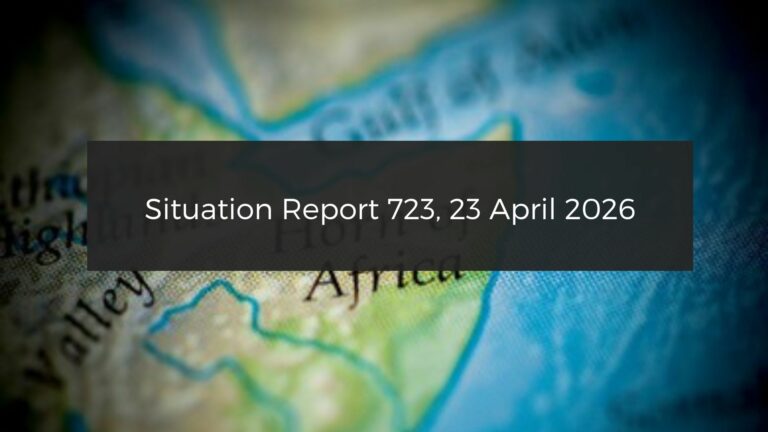 Situation Report: SAF carries out strikes on South Kordofan