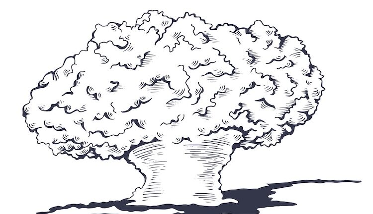 The Big Bomb Questions