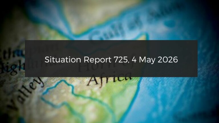 Situation Report: Numerous drone strikes launched by the RSF