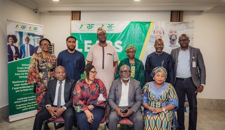 Africa’s Public-Sector Reforms Need Leaders, Not Only Technical Expertise