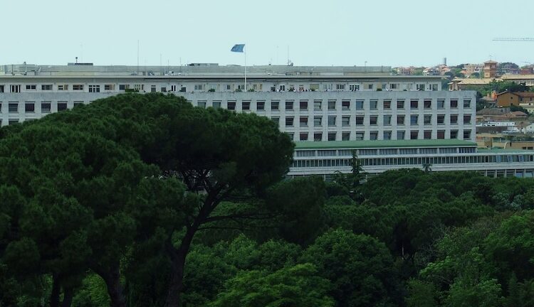 UN Experts Warn FAO Against Sidelining Human Rights