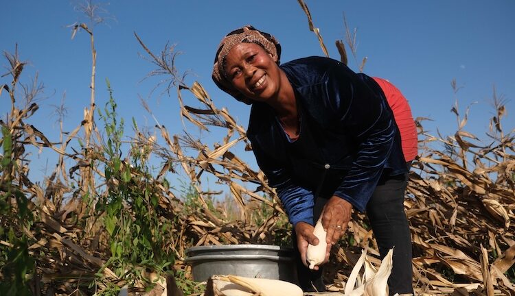 Hunger Amid Plenty Is a Political Failure, UN Rights Chief Warns